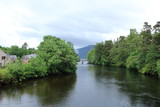 Fototapeta  - River with green forests