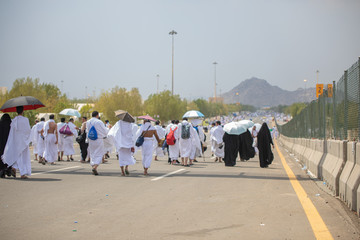 Hajj Pilgrims performing hajj in Mina