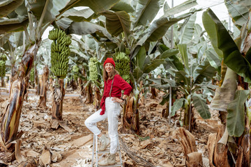 Wall Mural - Beautiful plantation with a rich banana crop, portrait of a woman tourist or farmer dressed casually in red and white standing on the ladder. Concept of green tourism or exotic fruits producing