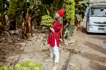 Wall Mural - Portrait of a young woman as a tourist or worker carrying banana stem on the plantation during a harvest time with truck on the background