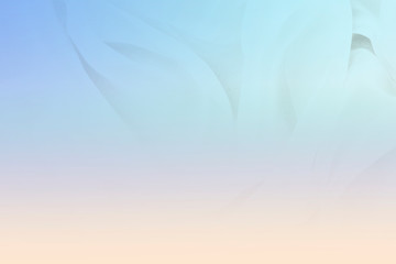 Poster - color gradient background 