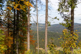 Fototapeta Natura - Scenic view at landscape nearby Feldberg, Black Forest in autumn with multi colored trees