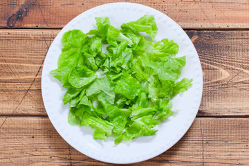 Step-by-step preparation of salad with tuna and fresh vegetables, step 2 - laying out washed lettuce leaves on a white plate, top view