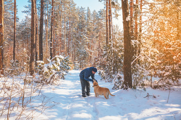 Man and dog are best friends. A man and a dog are walking along a road in a snowy forest on a winter sunny day