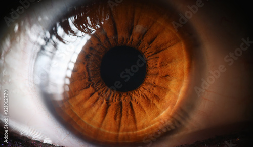Close-up human eye, lens, cornea and brown iris. Eye health prevention. Examination symptoms disease by eyeball. Beautiful human eye. Look in oneself person thinking genetics and color scheme eye.