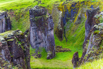 Wall Mural -  Rocks covered with moss