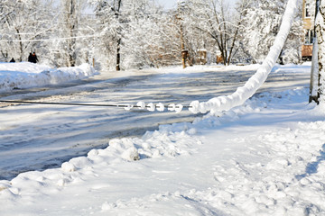 Electric power line hanging down under the weight of snow. Weather collapse. Snow on electrical wires in the city. Old electrical cables.