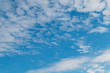 Wall Mural - White clouds in a blue sky