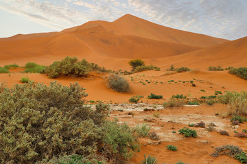 sossusvlei (namib-naukluft park) - namibia africa