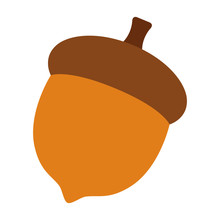 Acorn Or Oaknut Seed Flat Vector Color Icon For Nature Apps And Websites
