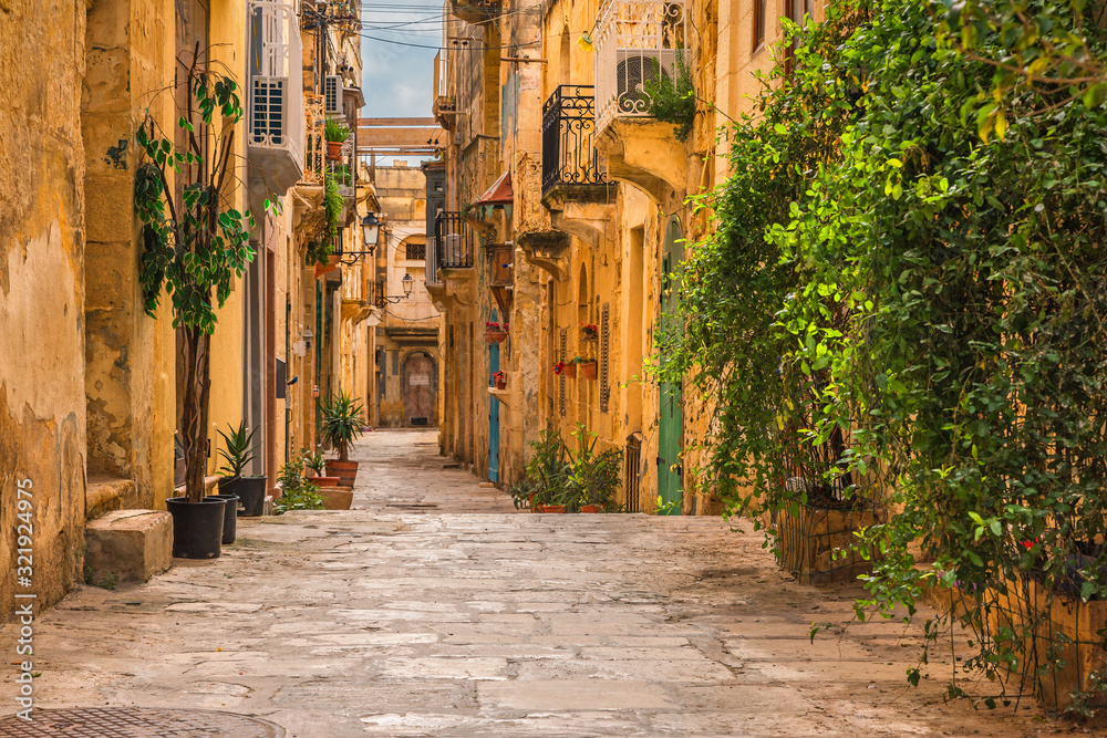 Obraz na płótnie Valletta, Malta. Old medieval empty street with yellow buildings and flower pots w salonie