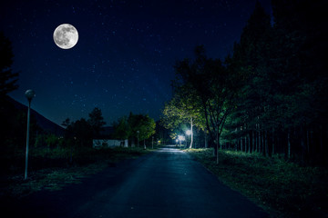 Wall Mural - Long exposure shot. Mountain Road through the forest on a full moon night. Scenic night landscape of dark blue sky with moon. Azerbaijan