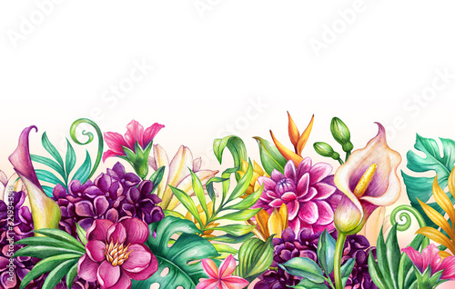 digital watercolor botanical illustration, wild tropical flowers isolated on ...