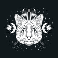 Wall Mural - Mystic magic cat. Portrait face head hand drawn vintage style.Line art ink painting.Graphic design tatoo.