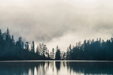 Silhouettes Of Pointy Fir Tops On Hillside Along Mountain Lake In Dense Fog. Reflection Of Coniferous Trees In Shiny Calm Water. Alpine Tranquil Landscape At Early Morning. Ghostly Atmospheric Scenery