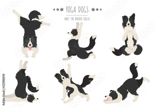 Fotografía Yoga dogs poses and exercises poster design