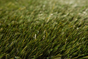 Artificial grass high quality closeup