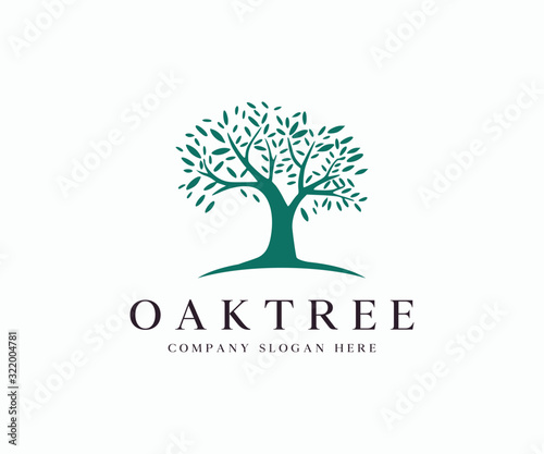 Fotografía Oak Tree Silhouette Logo Icon Vector Illustration Template
