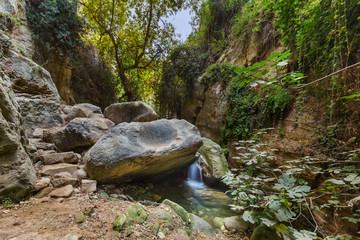 Wall Mural - Avakas canyon in Cyprus island at Paphos