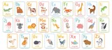 Fototapeta Fototapety na ścianę do pokoju dziecięcego - Alphabet cards for kids. Educational preschool learning ABC card with animal and letter cartoon vector illustration set. Flashcards with cute characters and english words placed in alphabetical order.