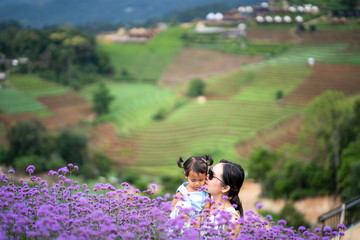 Wall Mural - Mother and daughter at verbena flower field.