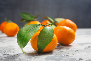 Wall Mural - tangerines