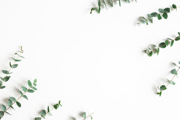 Eucalyptus leaves on white background. Frame made of eucalyptus branches. Flat lay, top view, copy space