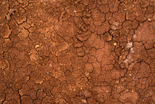 Texture Of Dried Cracked Clay. Macro Background Image Of Dried Clay