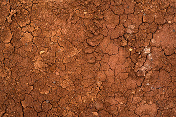 Texture of dried cracked clay. Macro background image of dried clay