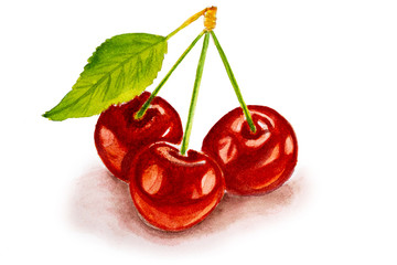 three red cherry on white background