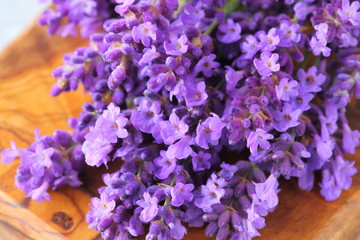 Wall Mural - Bouquet of lavender.