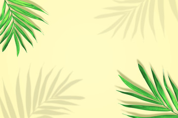 Wall Mural - palm leaves in vibrant color