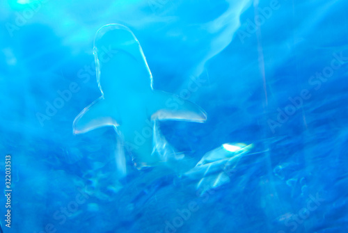 sharks in the sea, digital photo picture as a background Wallpaper Mural