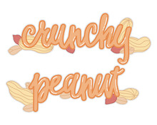 Crunchy Peanuts Isolated Vector Illustration With Handwritten Lettering For Banner, Print, Sticker, Food Decoration