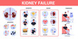 Kidney failure infographic. Symptoms, causes, prevention and treatment.