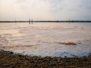 Sea salt fields local farm. salt-pond, salt-farm