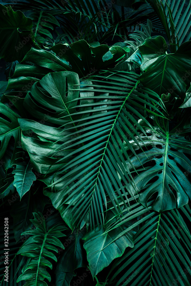 Creative tropical monstera leaf structure renderings Concept, green spring, spring, nature, flat - obrazy, fototapety, plakaty 