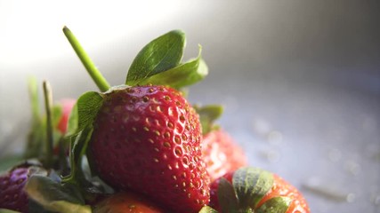 Wall Mural -  strawberry berries close up on a dark background