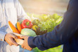 © NT_studio - Two young asian man picking up fresh organic vegetable with basket together in the hydroponic farm beautiful, harvest and agriculture and cultivation for healthy food and business concept.