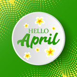 Fototapeta  - Hello April Greeting Card. Spring Theme with Flowers. Spring Invitation, Badge, Banner, Blog, Calendar cover, Social media banner. 