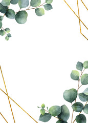 Wall Mural - Watercolor vector frame with green eucalyptus leaves. 