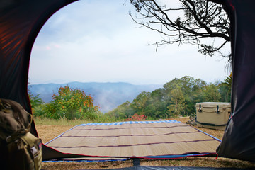 nature camping tent with tree branch on grass and green mountain with cooler box and sos backpack in forest national park with mist on blue sky for vacation picnic on holiday relax travel in morning