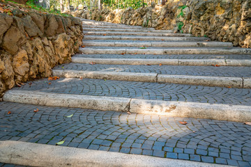 Wall Mural - Weathered stone stairs with a fallen fall leaves, Rome