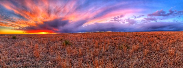 sunset over the field