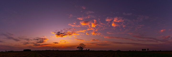 Wall Mural - agriculture, asia, background, beautiful, beauty, black, blue, bright, cloud, color, colorful, count