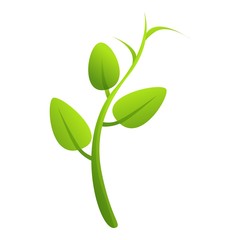 Poster - Peas plant icon. Cartoon of peas plant vector icon for web design isolated on white background