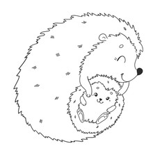 Coloring Page With Cute Hedgehog. Mother And Baby