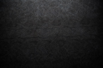 black snake skin texture for background