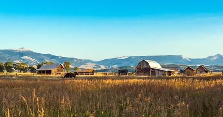 Wall Mural - Sunset at Mormon Row Historic District in Grand Teton National Park, WY, USA