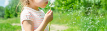 Girl Blowing Dandelions In The Air. Selective Focus.